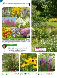 Catalogue Willemse France page 42