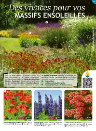 Catalogue Willemse France page 43