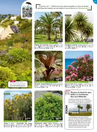 Catalogue Willemse France page 45