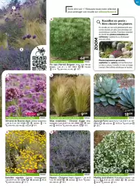 Catalogue Willemse France page 47