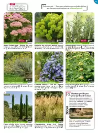 Catalogue Willemse France page 49