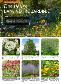 Catalogue Willemse France page 50