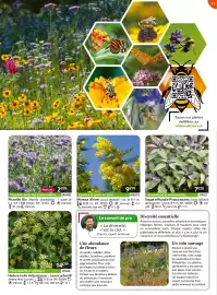 Catalogue Willemse France page 51