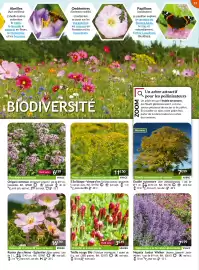 Catalogue Willemse France page 53