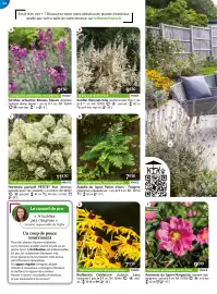 Catalogue Willemse France page 54