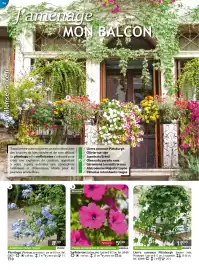 Catalogue Willemse France page 56