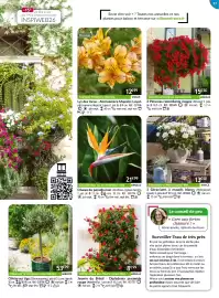 Catalogue Willemse France page 57