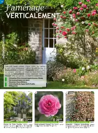 Catalogue Willemse France page 58