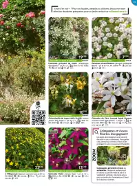 Catalogue Willemse France page 59