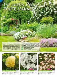 Catalogue Willemse France page 6