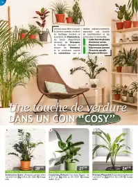 Catalogue Willemse France page 62