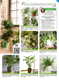 Catalogue Willemse France page 63