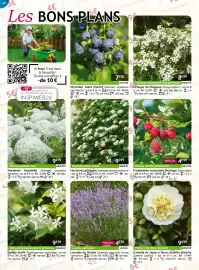 Catalogue Willemse France page 64