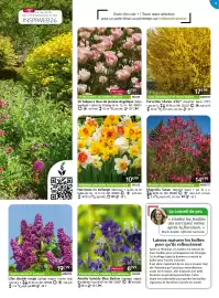 Catalogue Willemse France page 9