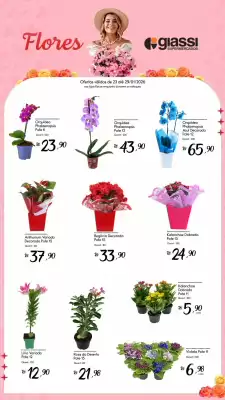 Encarte Giassi Supermercados (válido até 29-01)