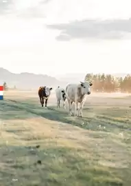 Catalogue Sysco page 54