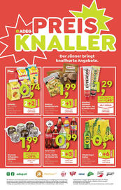 ADEG Flugblatt woche 4 Seite 8