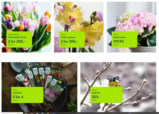 Hageland kundeavis (gyldig til 31-01)