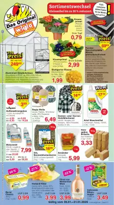 Wiglo Wunderland Prospekt (gültig bis 31-01)