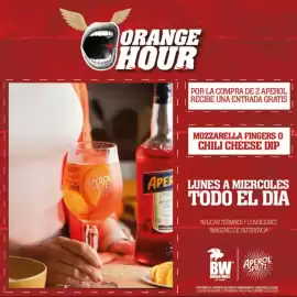 Catálogo Buffalo Wings Página 13