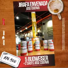 Catálogo Buffalo Wings Página 16