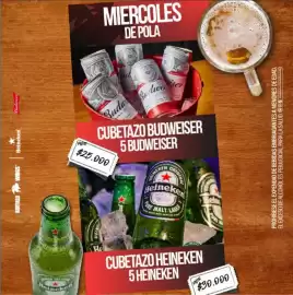 Catálogo Buffalo Wings Página 17