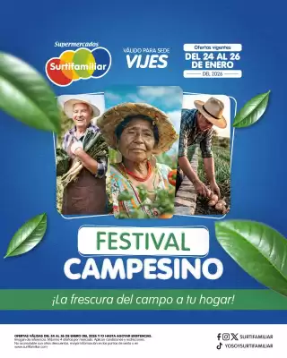 Catálogo Surtifamiliar (válido hasta 26-01)