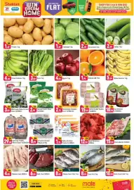 Shaklan leaflet Page 2