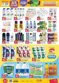 Shaklan leaflet Page 4