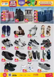 Shaklan leaflet Page 8