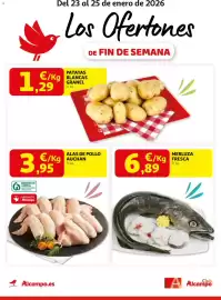 Folleto Alcampo Página 1