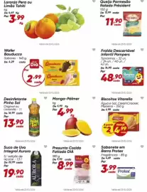 Tabloide Dia Página 3