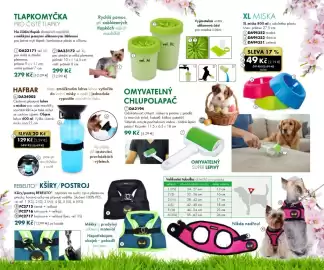 Dedra leták Strana 74