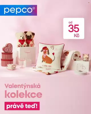 Pepco leták (platné do 31-01)