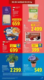 Lidl akciós újság hét 5 Oldal 47