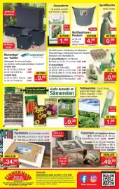 Zimmermann Prospekt woche 5 Seite 10