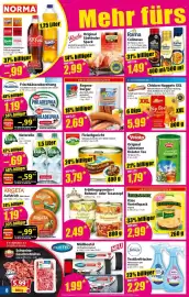 Norma Prospekt woche 6 Seite 8