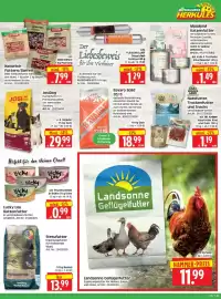 Edeka Herkules Prospekt woche 5 Seite 7