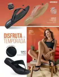 Catálogo Andrea Página 119