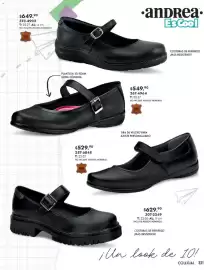 Catálogo Andrea Página 331