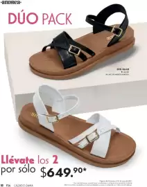 Catálogo Andrea Página 80