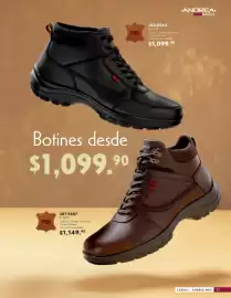 Catálogo Andrea Página 17