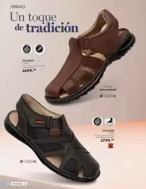 Catálogo Andrea Página 62