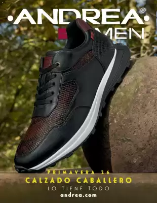 Catálogo Andrea (válido hasta 24-05)
