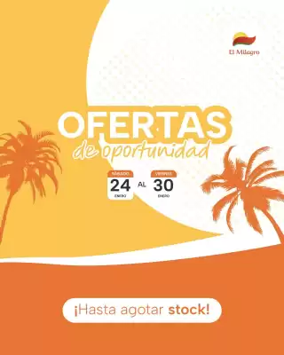 Catálogo El Milagro Mayorista (válido hasta 30-01)