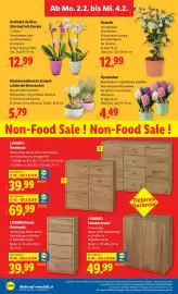 Lidl Flugblatt woche 5 Seite 30