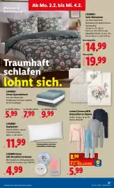 Lidl Flugblatt woche 5 Seite 31