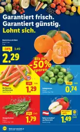 Lidl Flugblatt woche 5 Seite 38