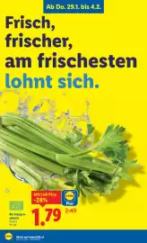 Lidl Flugblatt woche 5 Seite 4