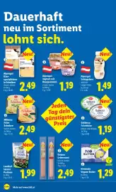Lidl Flugblatt woche 5 Seite 45